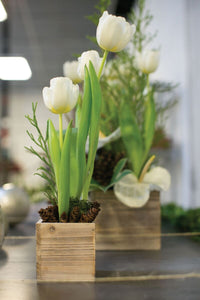 Design Shop Natural Woodland Planter Box, 4" X 4".