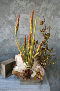 Design Shop Natural Woodland Planter, 7" X 3.5".