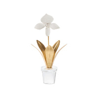 Chelsea House Lady Slipper Orchid