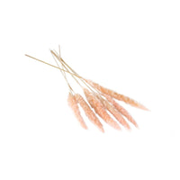Design Shop Pink Slim Dried Pampas Grass, 25.5", Set of 6.