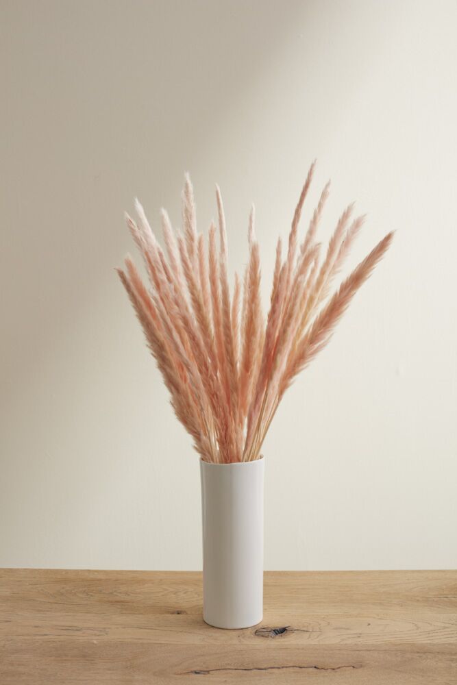 Design Shop Pink Slim Dried Pampas Grass, 25.5", Set of 6.