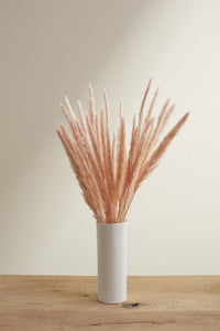 Design Shop Pink Slim Dried Pampas Grass, 25.5", Set of 6.
