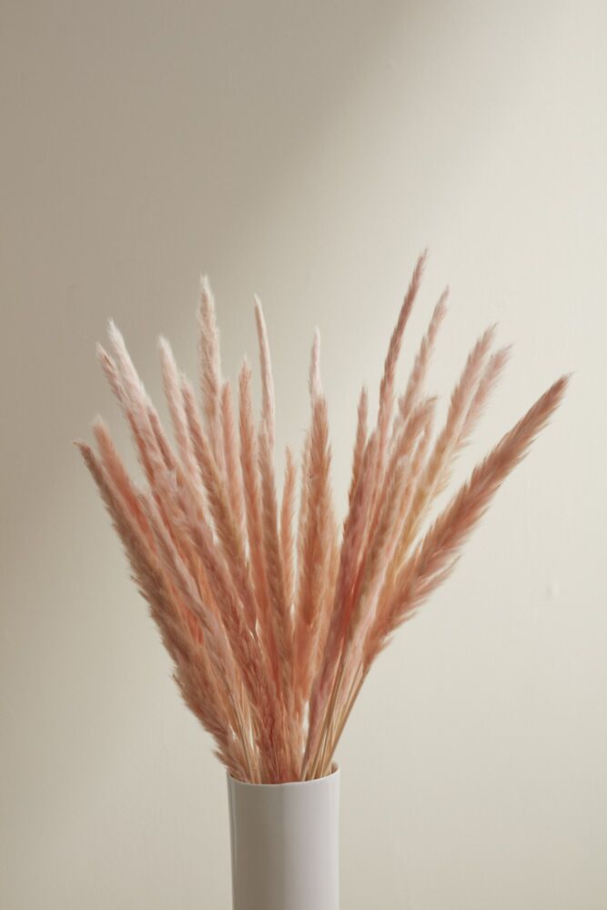 Design Shop Pink Slim Dried Pampas Grass, 25.5", Set of 6.