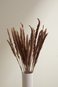 Design Shop Brown Slim Dried Pampas Grass, 25.5", Set of 6.