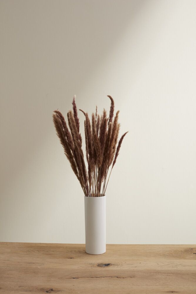 Design Shop Brown Slim Dried Pampas Grass, 25.5", Set of 6.