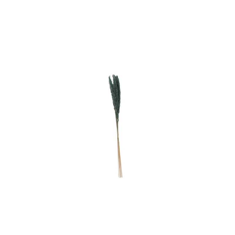 Design Shop Blue Slim Dried Pampas Grass, 25.5", Set of 6.