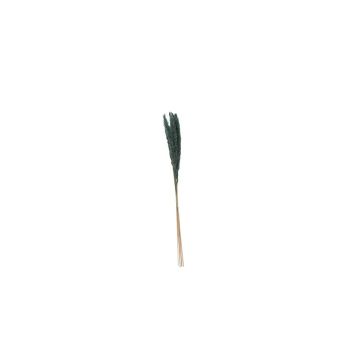 Design Shop Blue Slim Dried Pampas Grass, 25.5", Set of 6.