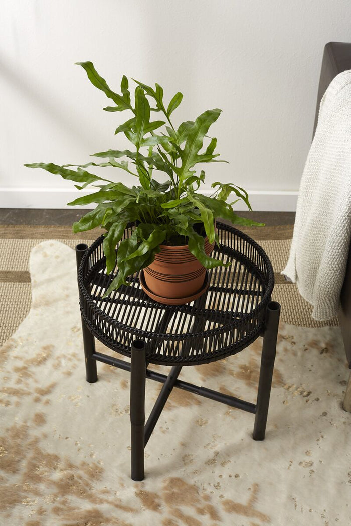 Design Shop Black Nash Stand, 18.25" X 16.75".
