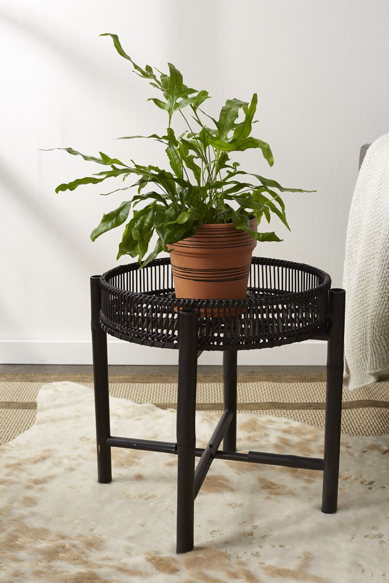 Design Shop Black Nash Stand, 18.25" X 16.75".