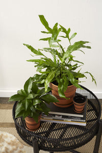 Design Shop Black Nash Stand, 22.25" X 18.25".