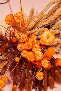Design Shop Orange Dried Eryngium, 7.5" X 20.25".