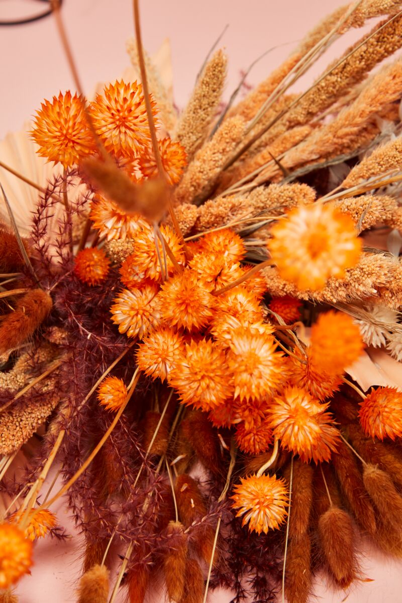 Design Shop Orange Dried Eryngium, 7.5" X 20.25".