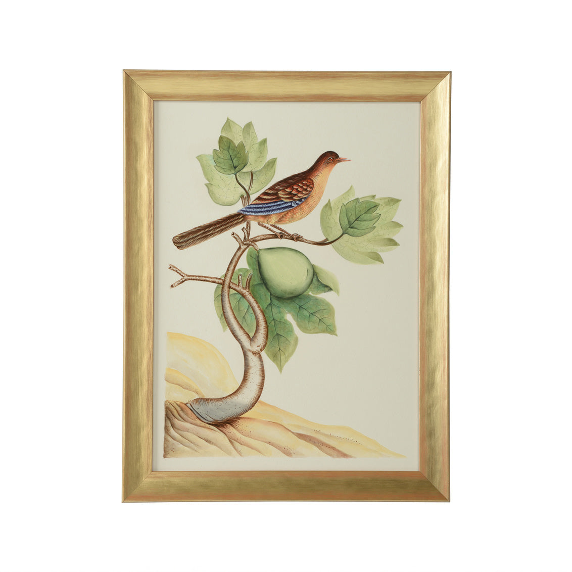 Chelsea House Watercolor Birds A