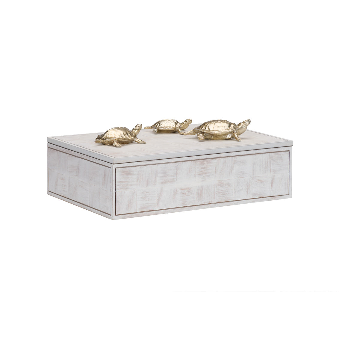 Wildwood Tortoise Family Box