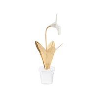Chelsea House Lady Slipper Orchid