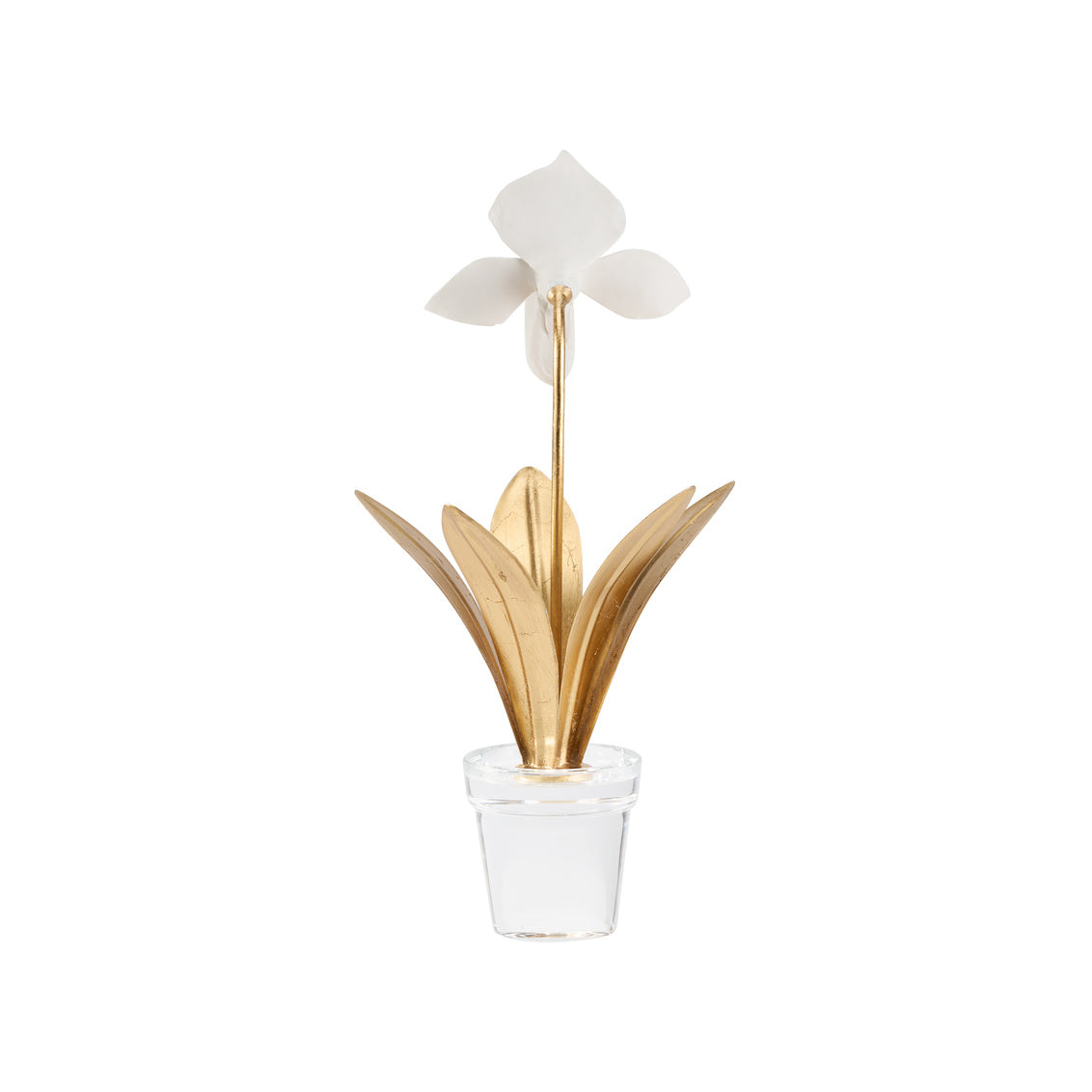 Chelsea House Lady Slipper Orchid