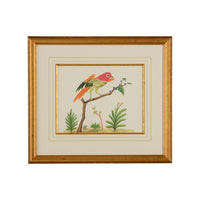 Chelsea House Multicolor Bird