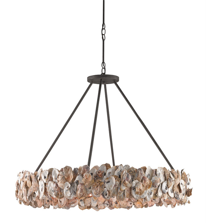 Currey and Company Eight Light Chandelier from the Oyster collection in Textured Bronze/Natural finish