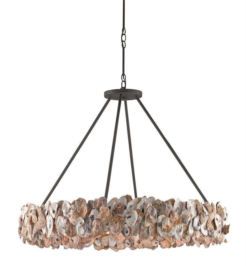 Currey and Company - 9672 - Eight Light Chandelier - Oyster Shell Collection - Textured Bronze/Natural