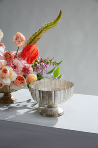 Design Shop Lita Compote 10"x 6.5"