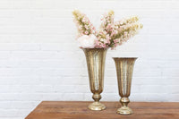 Design Shop Gold Lita Vase and Compote Vase, 6.5" X 14".