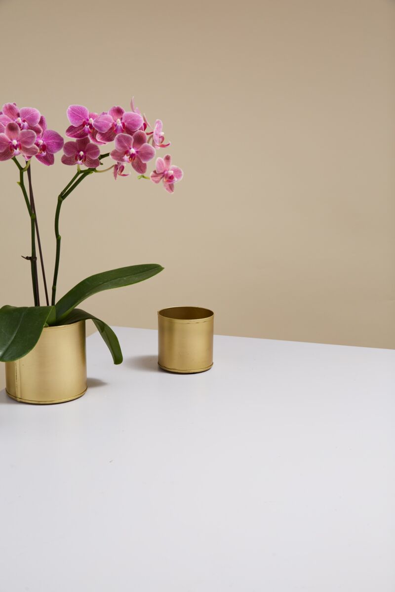 Design Shop Bryant Pot 3.25"x 3", Set of 8