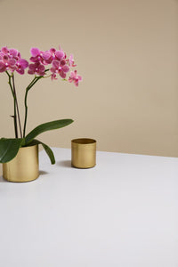 Design Shop Bryant Pot 3.25"x 3", Set of 8