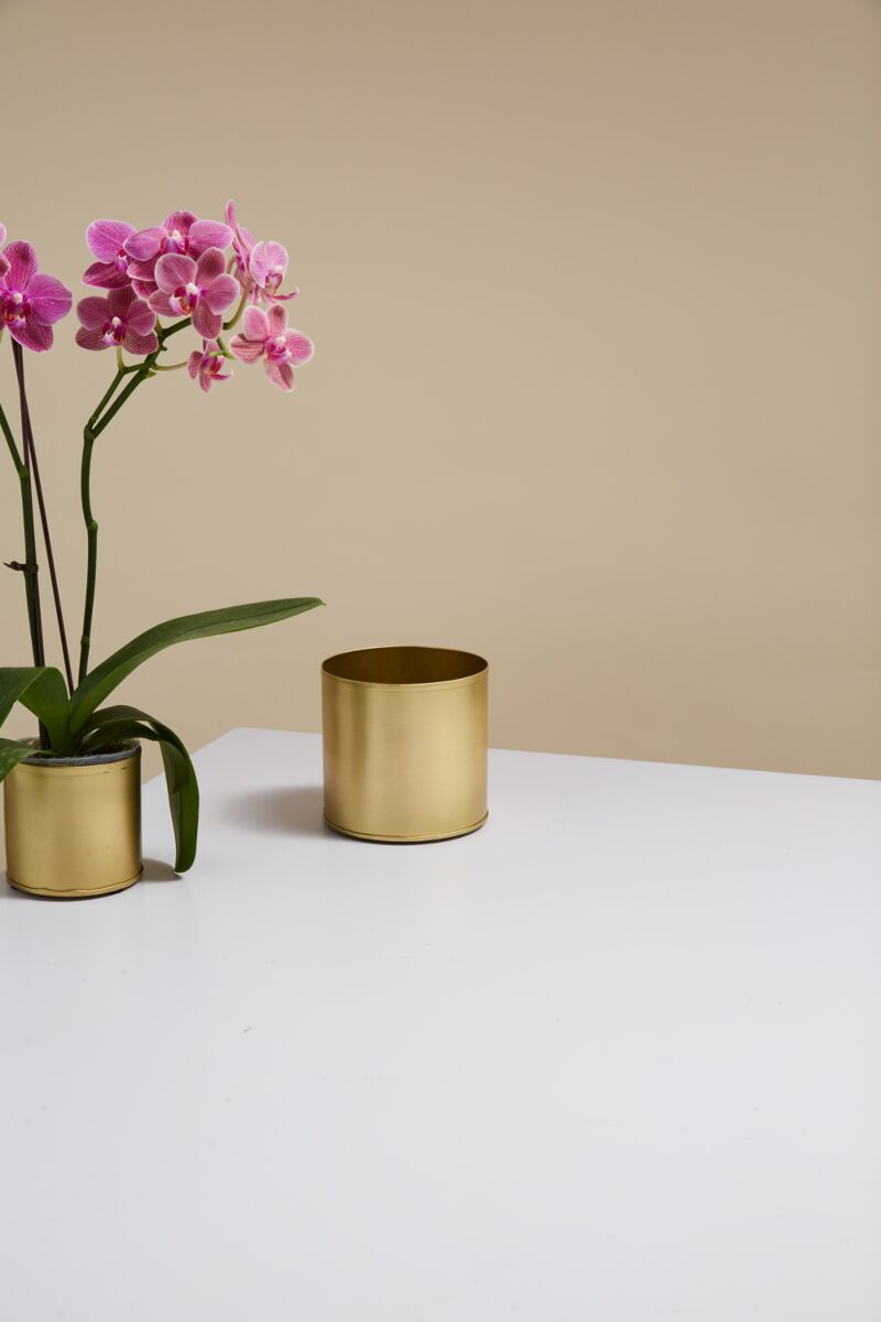 Design Shop Bryant Pot 4.25"x 4", Set of 8