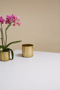 Design Shop Bryant Pot 4.25"x 4", Set of 8