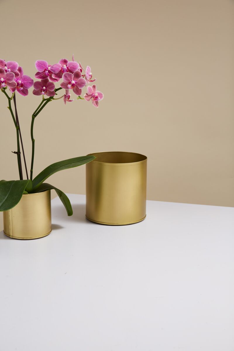 Design Shop Bryant Pot 6.25"x 6", Set of 4