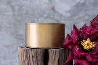 Design Shop Bryant Bowl 7.5"x 4"