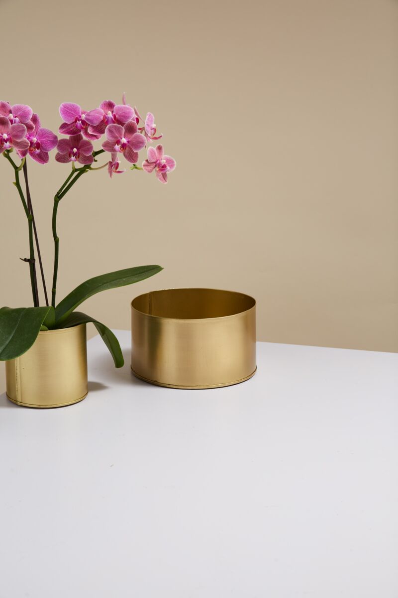 Design Shop Bryant Bowl 7.5"x 4"