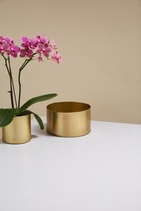 Design Shop Bryant Bowl 7.5"x 4"