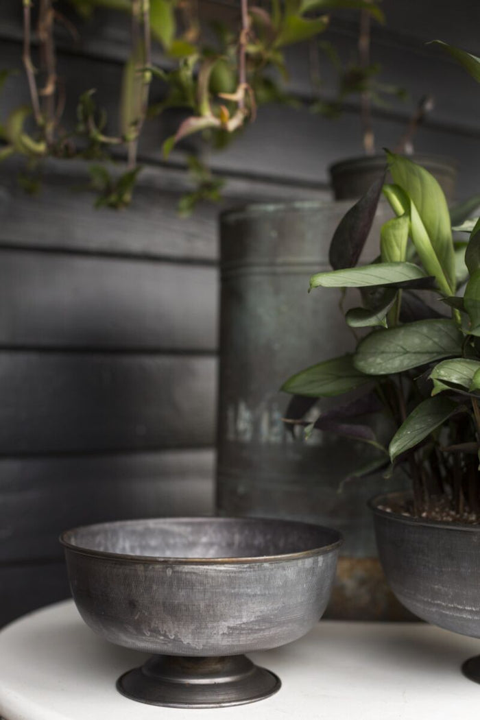 Decorative metal bowl on a surface with plants and a dark background
