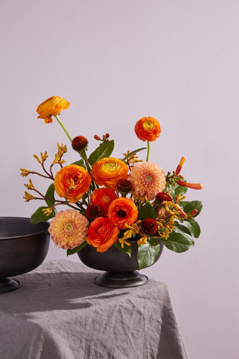 Design Shop Fable Compote 10.25"x 5"