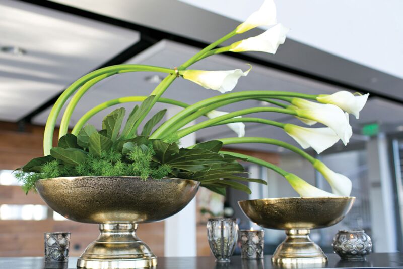 Design Shop Gold Oscar Bowl, 16" X 7.75".