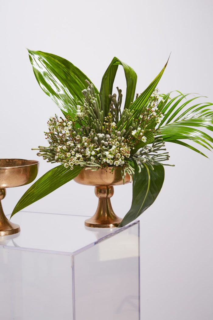 Decorative arrangement with green leaves and small white flowers on a gold pedestal against a light gray background.