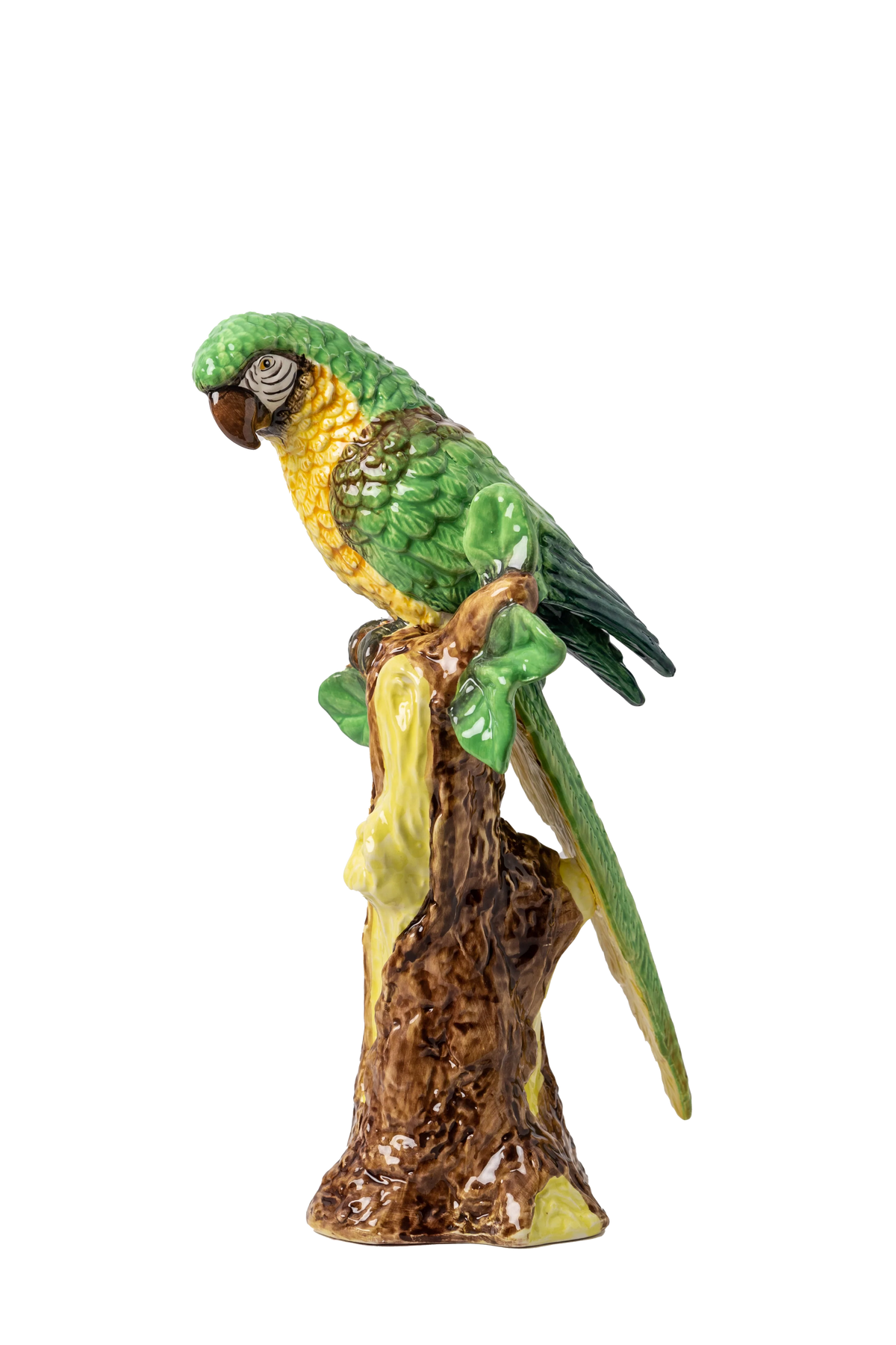 Abigails Parrot, Painted