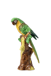Abigails Parrot, Painted
