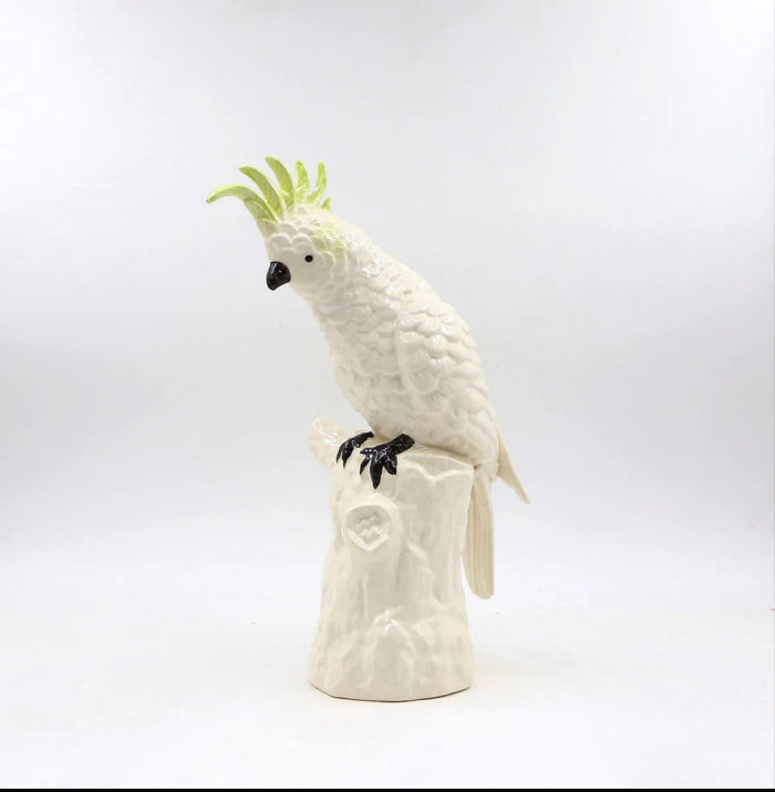 Abigails Cockatoo