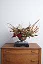 Design Shop Cadence Compote 8.25"x 4.75"