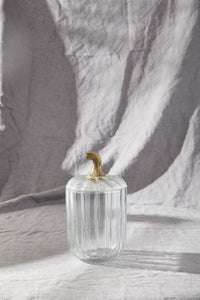Design Shop Translucent Pumpkin Terrarium 5"x 8.5"