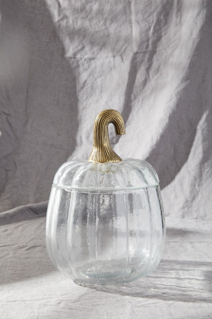 Clear glass bell jar with a wooden handle on a light gray background