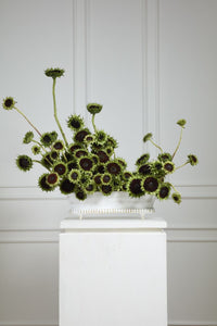 Design Shop Manor Trough 18"x 4.25"x 5.5"
