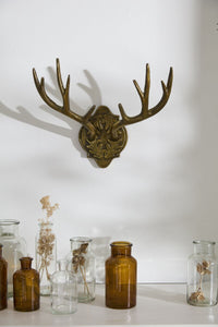 Design Shop Oakdale Antler Wall Mount 16.75"x 9"x 8.