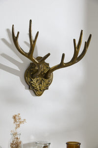 Design Shop Oakdale Antler Wall Mount 16.75"x 9"x 8.