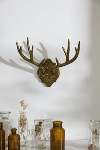 Design Shop Oakdale Antler Wall Mount 16.75"x 9"x 8.