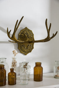 Design Shop Oakdale Antler Wall Mount 17.5"x 10.5"x 14"