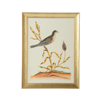 Chelsea House Watercolor Birds C
