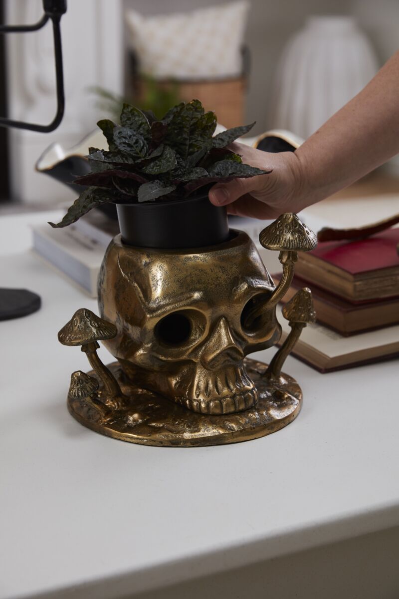 Gold skull-shaped planter with a plant on a white surface